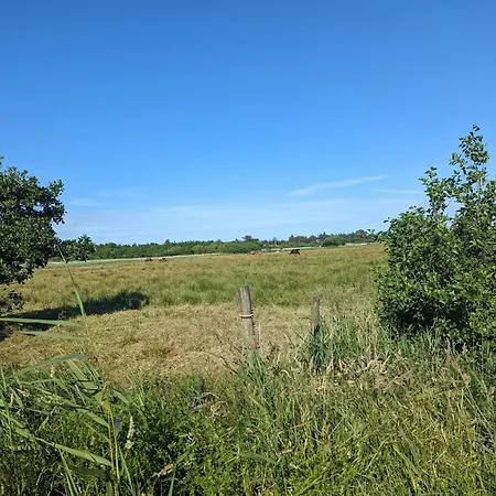 Secluded Retreat In - By Traum بيت للعطل *